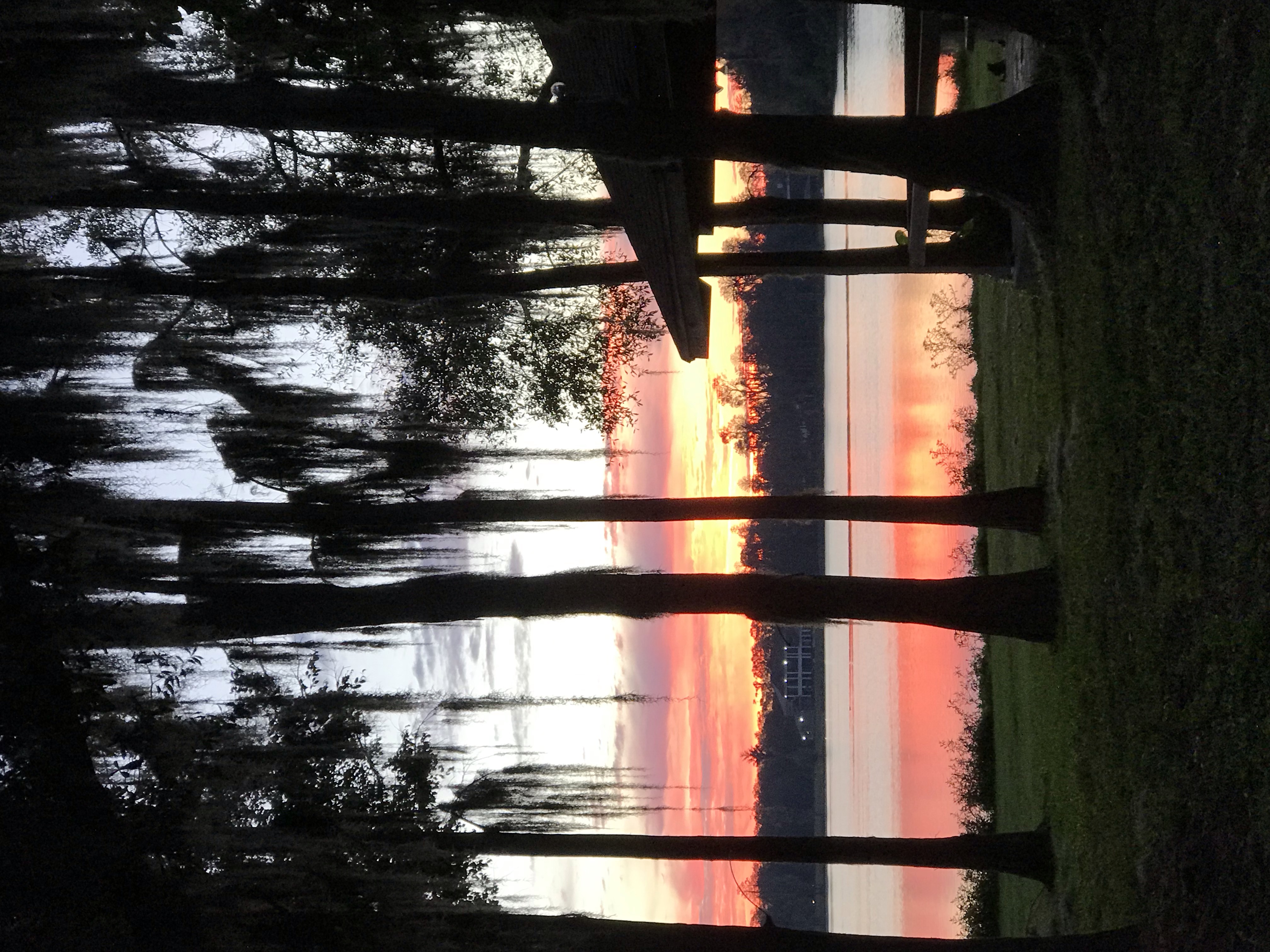 Tampa BK Meditation Center and Lake Ellen